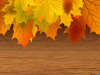 Image showing Fall leaves making border on wooden. EPS 8