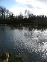 Image showing Lydiard Park Lake View