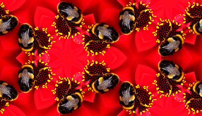 Image showing Seamless Pattern Of A Bee On A Flower