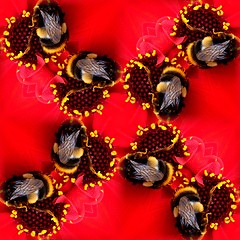 Image showing Seamless Pattern Of A Bee On A Flower