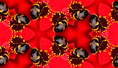 Image showing Seamless Pattern Of A Bee On A Flower