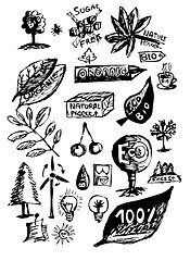 Image showing natural objects (hand drawn)