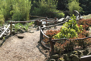 Image showing japanese garden 