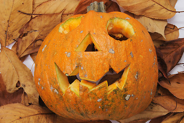 Image showing halloween pumkin