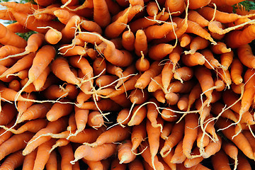 Image showing carrots 