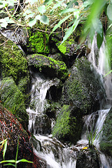 Image showing waterfalls in the nature 