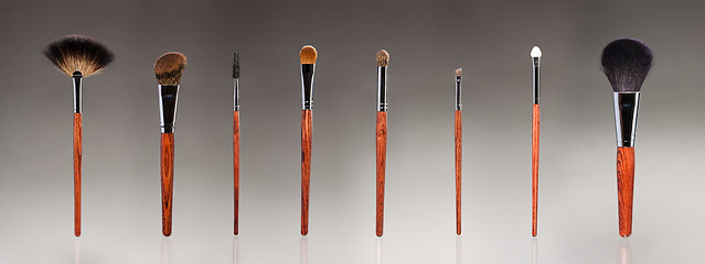 Image showing Set of makeup brushes