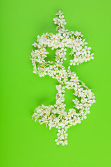 Image showing Dollar sign made of white white flowers