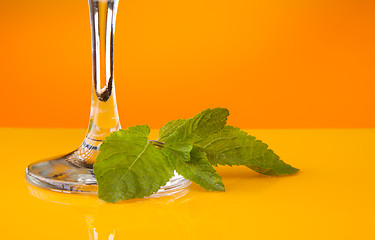 Image showing Mint leaves for cocktail