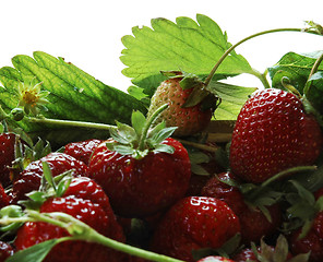 Image showing strawberry from the garden 1