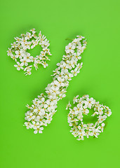 Image showing Percentage sign made of white flowers