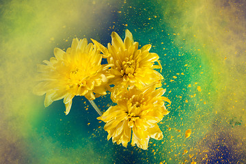 Image showing Paint big bang and flowers