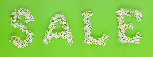 Image showing Sale sign made of white cherry tree flowers