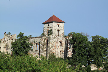 Image showing Castle in Poland