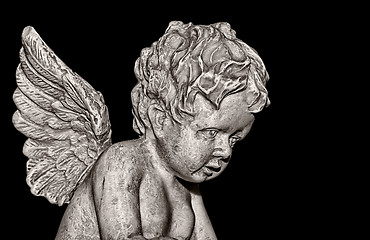 Image showing Cherub on black