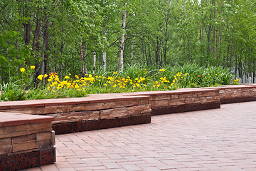 Image showing stone bed with flowered poppy