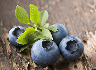 Image showing Blueberries