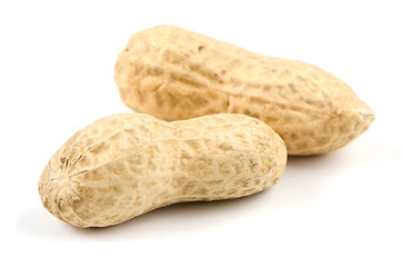 Image showing Two peanuts