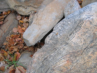 Image showing Rocks