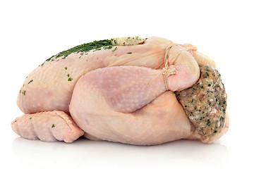 Image showing Chicken with Stuffing