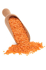 Image showing Red Lentils