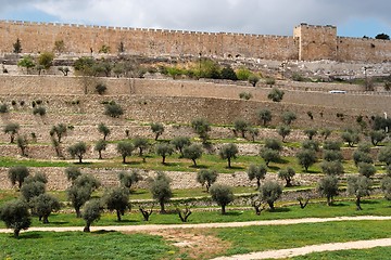 Image showing Terraces of the Kidron Valley and the the wall of the Old City in Jerusalem