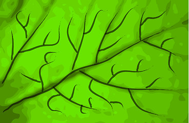 Image showing green leaf texture