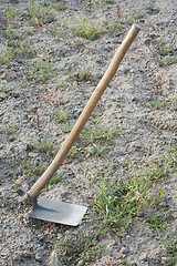 Image showing Hoe, a garden tool