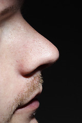 Image showing Nose