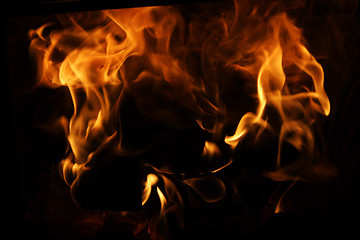 Image showing Fire