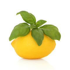 Image showing Lemon and Basil