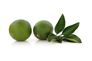 Image showing Lime Fruit