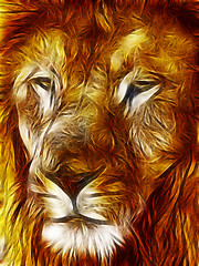 Image showing Close-up picture illustration of Large Lion face