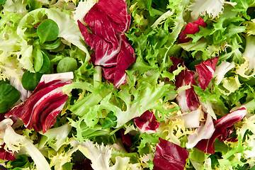 Image showing salad