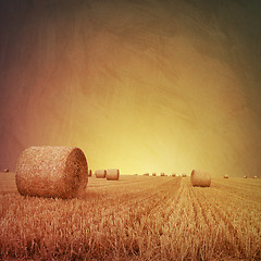 Image showing Straw Bales