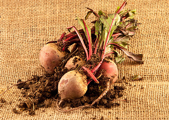 Image showing beetroot