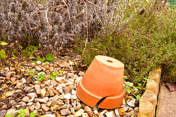 Image showing terracotta pot