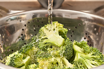 Image showing broccoli