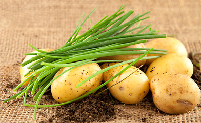 Image showing potatoes and chives