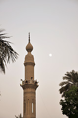 Image showing Cairo View 