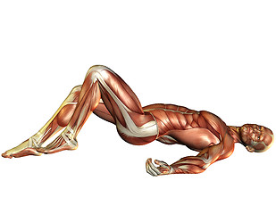 Image showing Muscle man lying