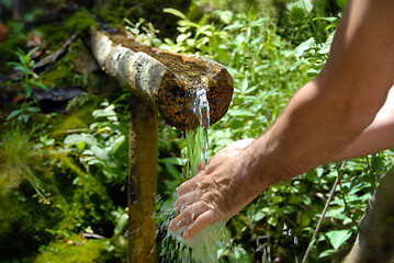 Image showing Washing hands