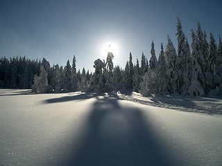 Image showing Winter in Nordmarka