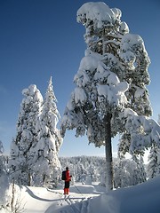 Image showing Winterland