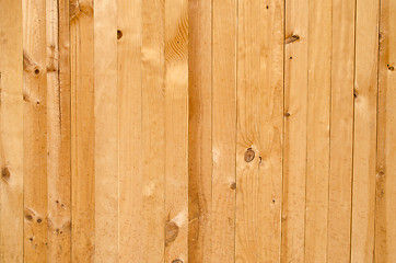 Image showing Texture of pine wood