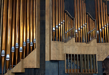 Image showing organ