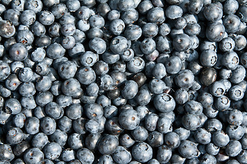 Image showing blueberries