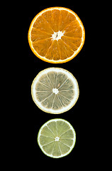 Image showing lemon lime orange slices