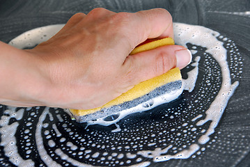 Image showing Sponge cleaning