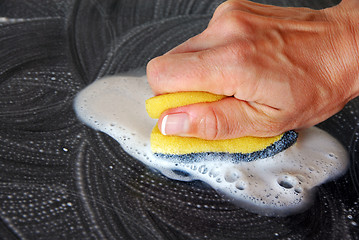 Image showing Sponge cleaning